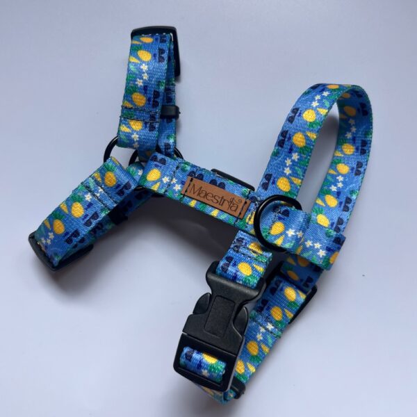 SZELKI GUARD Ananasowy chill