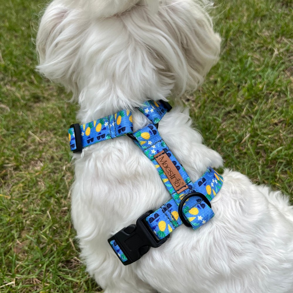 SZELKI GUARD Ananasowy chill - obrazek 2