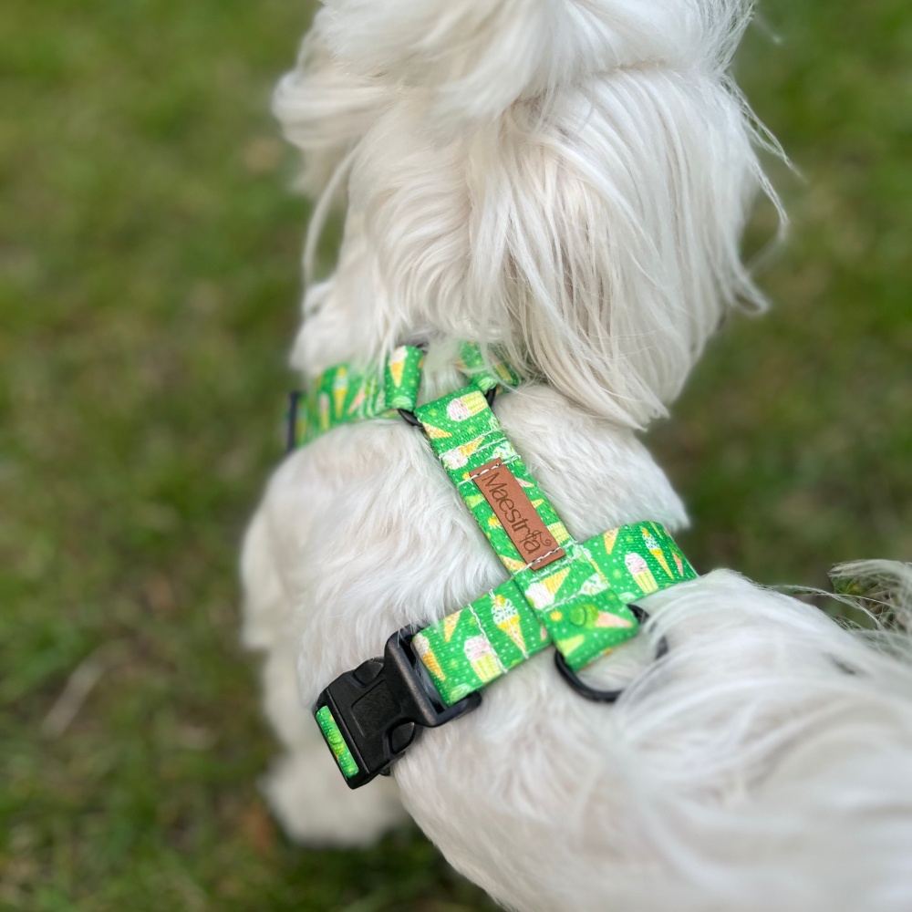 SZELKI GUARD Czas na lody - obrazek 2