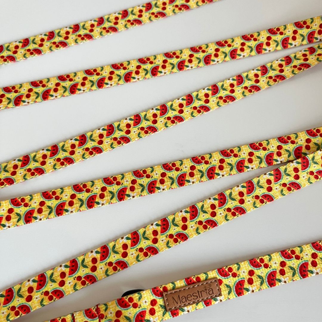 SMYCZ MIEJSKA Słoneczne smaki - obrazek 2