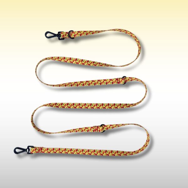 SMYCZ PRZEPINANA Słoneczne smaki