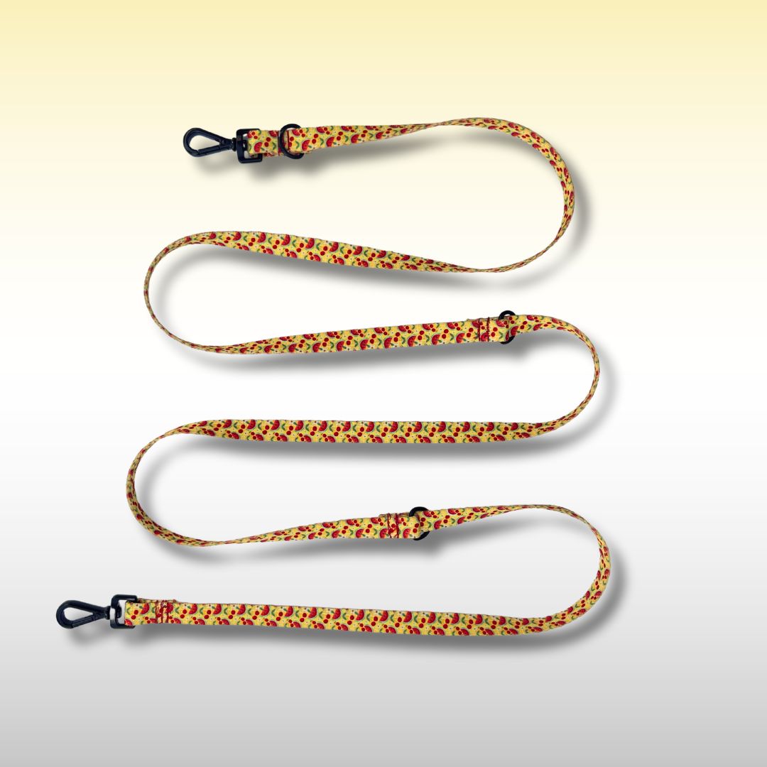 SMYCZ PRZEPINANA Słoneczne smaki