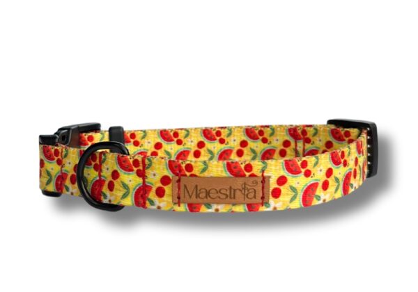 Obroża Słoneczny smak