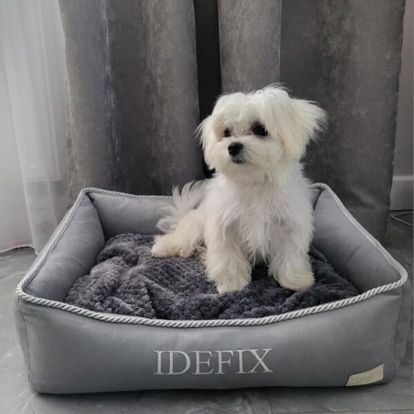 Legowisko ELEGANCE Szare