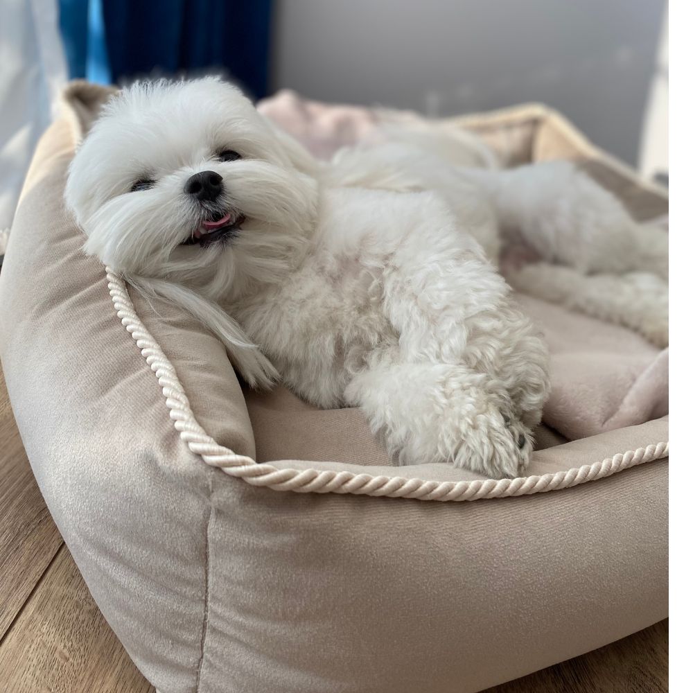 Legowisko ELEGANCE Beżowe - obrazek 2