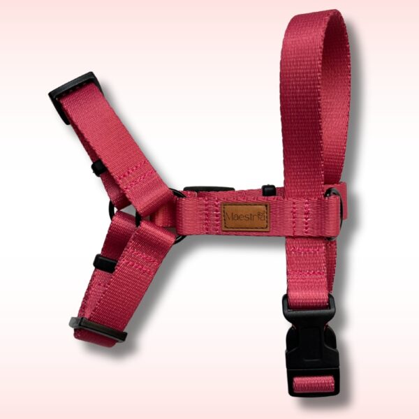 SZELKI GUARD Raspberry Rose