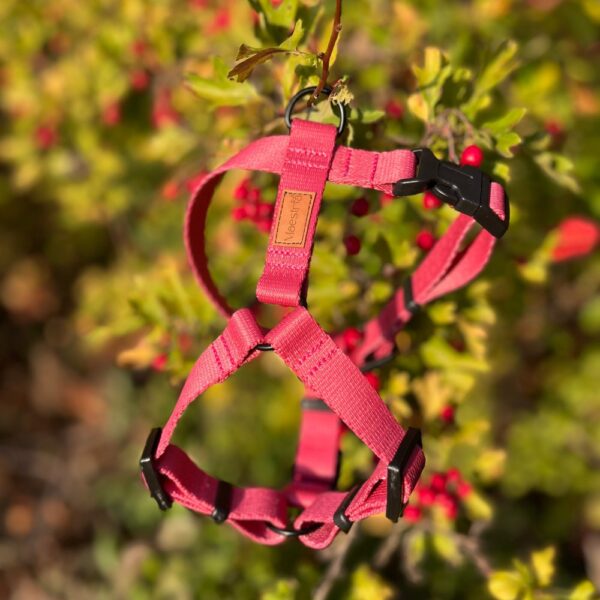 SZELKI GUARD Raspberry Rose