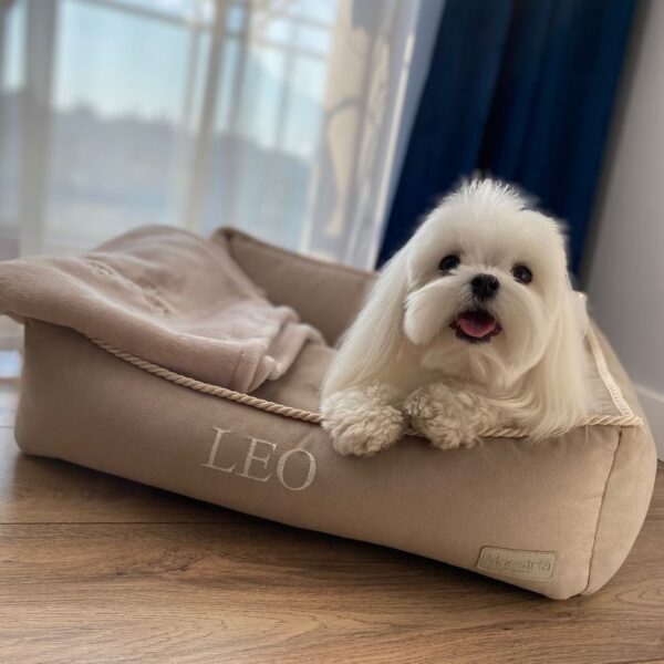 Legowisko ELEGANCE Beżowe