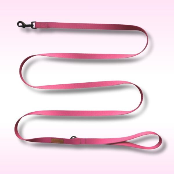 SMYCZ MIEJSKA Raspberry Rose