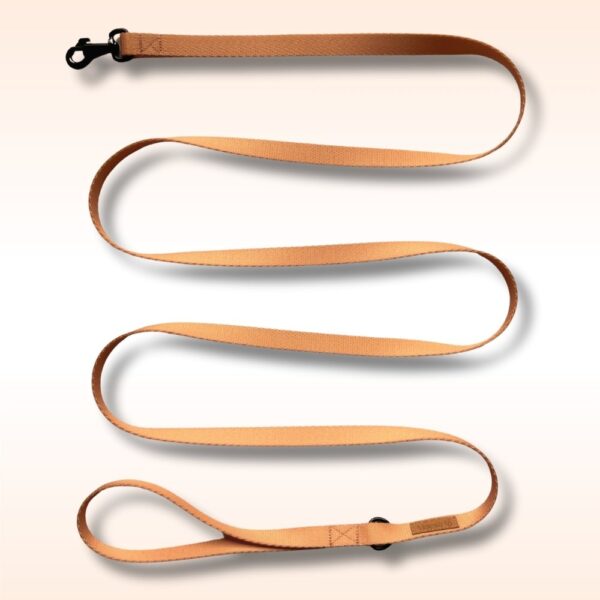 SMYCZ MIEJSKA Sandstone