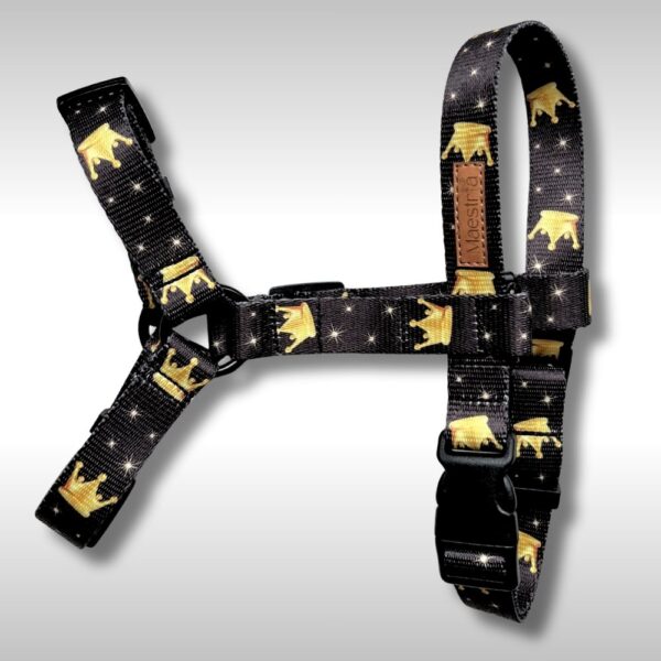 SZELKI GUARD Royal Stars