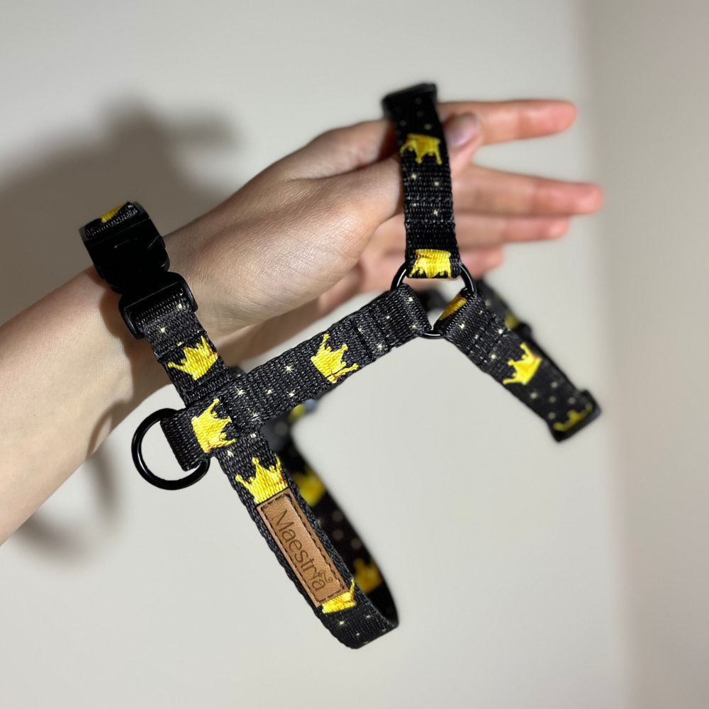 SZELKI GUARD Royal Stars - obrazek 2