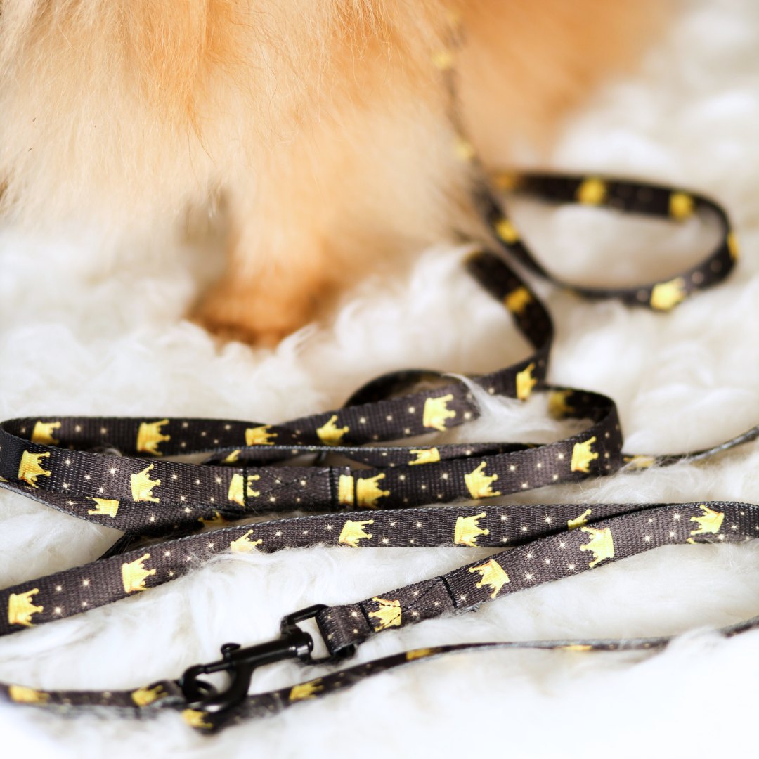 SMYCZ PRZEPINANA Royal Stars - obrazek 2