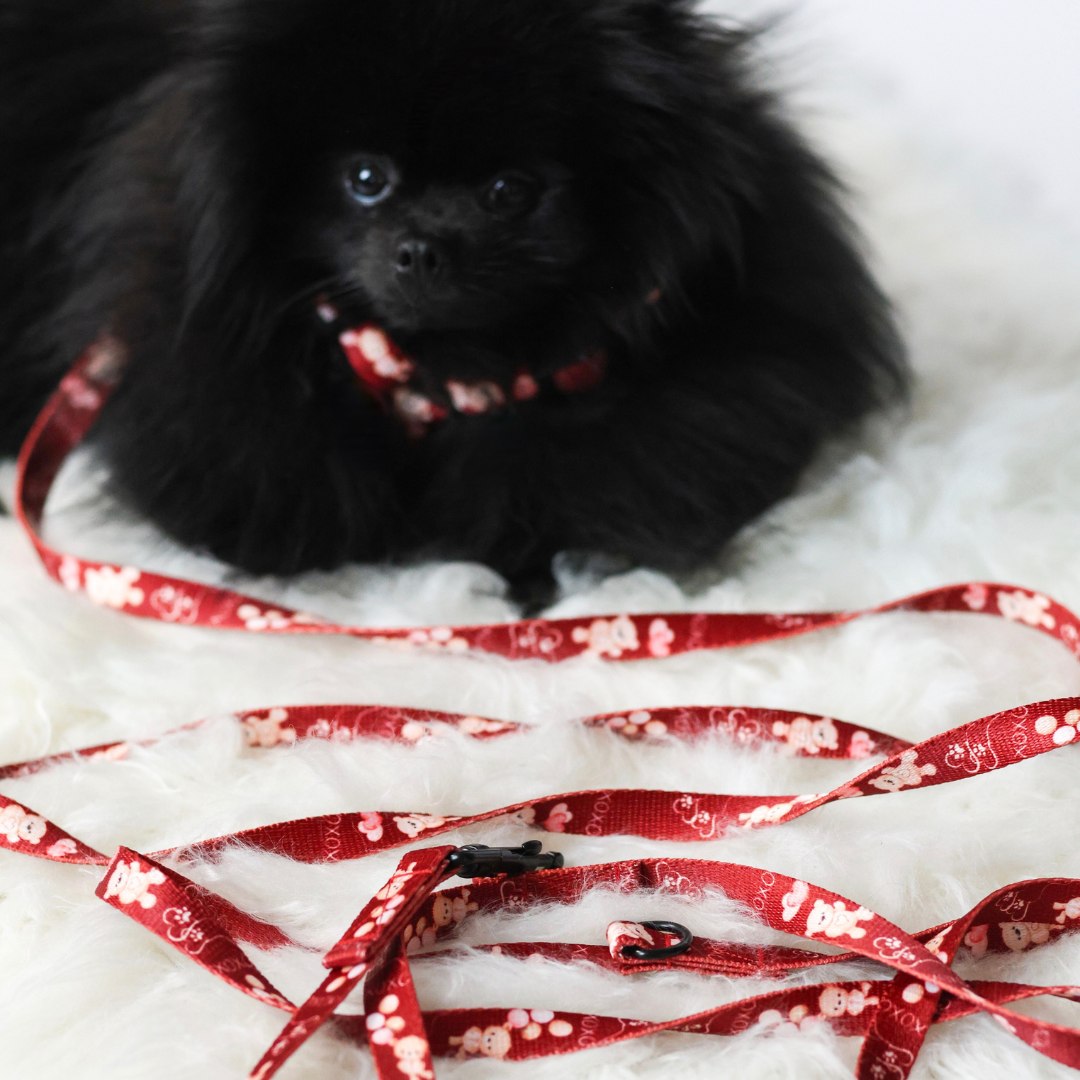 SMYCZ MIEJSKA XoXo - obrazek 2