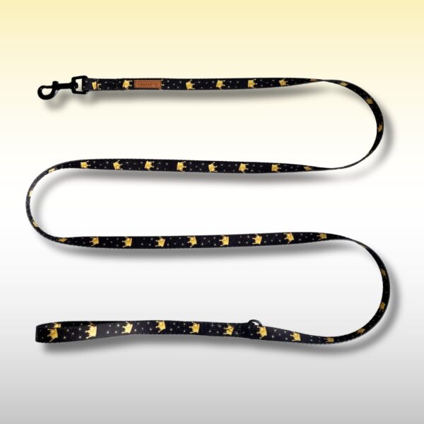 SMYCZ MIEJSKA Royal Stars