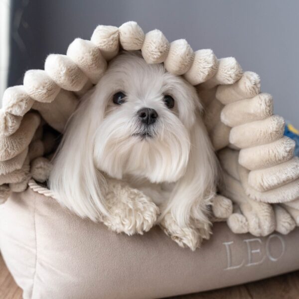 Śpiworek/norka/kocyk 3w1 beżowy