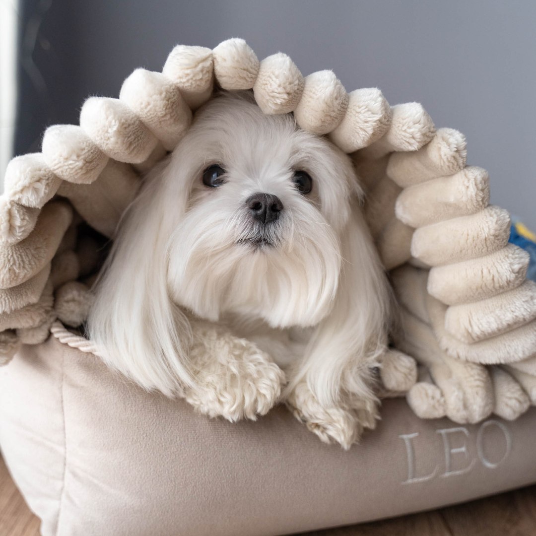 Śpiworek/norka/kocyk 3w1 beżowy