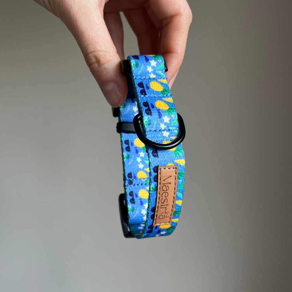 Obroża Ananasowy Chill