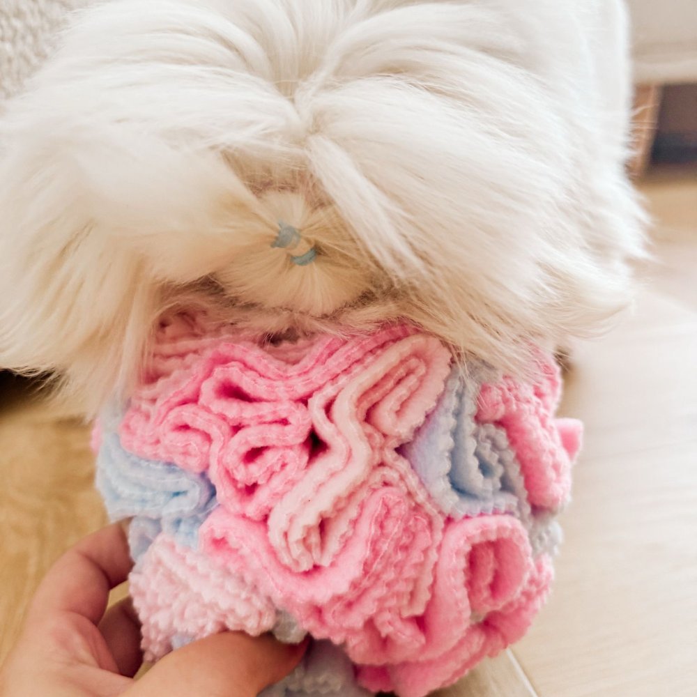 Kula węchowa - obrazek 3