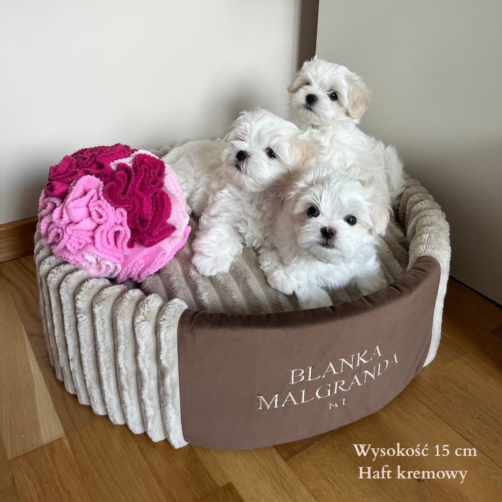 Legowisko Pufa - kremowo-brązowa - obrazek 3