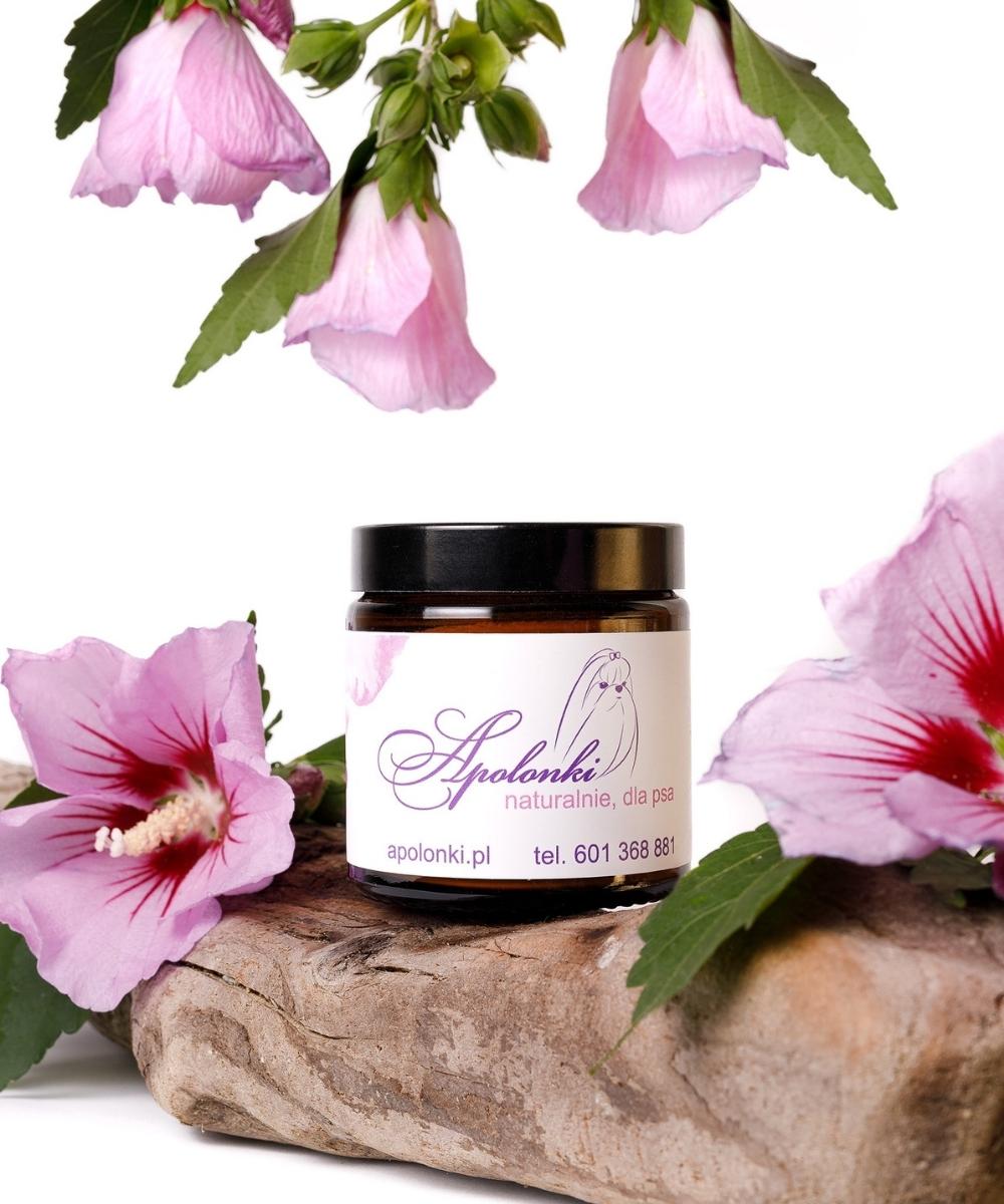 Puder ryżowy absorbujący wilgoć