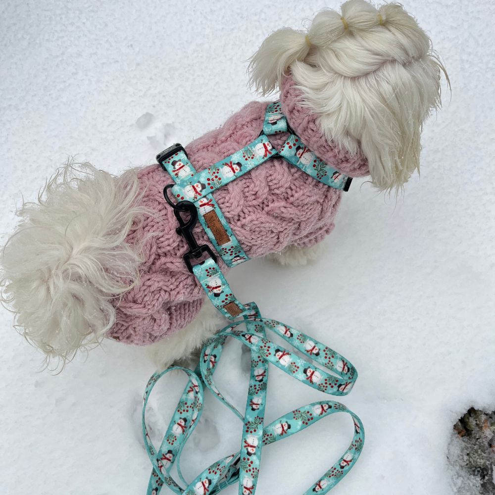 SZELKI GUARD WinterMood - obrazek 3