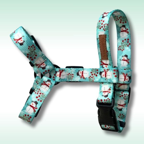 SZELKI GUARD WinterMood